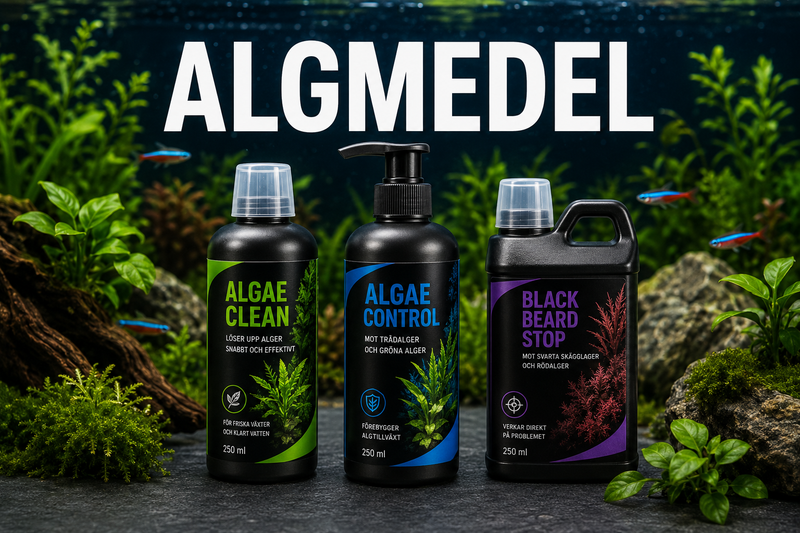 Algmedel