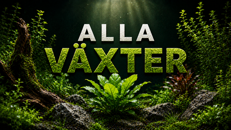 Alla växter