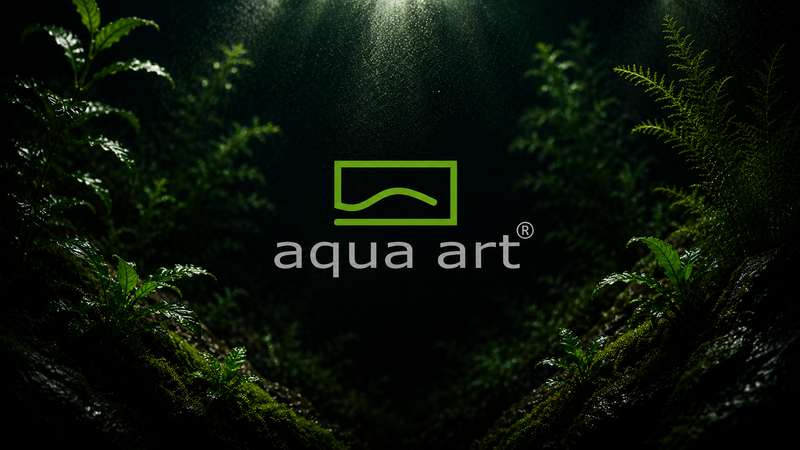 Aqua Art