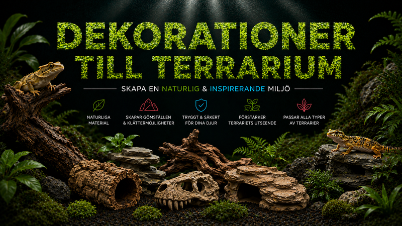 Dekorationer Terrarium