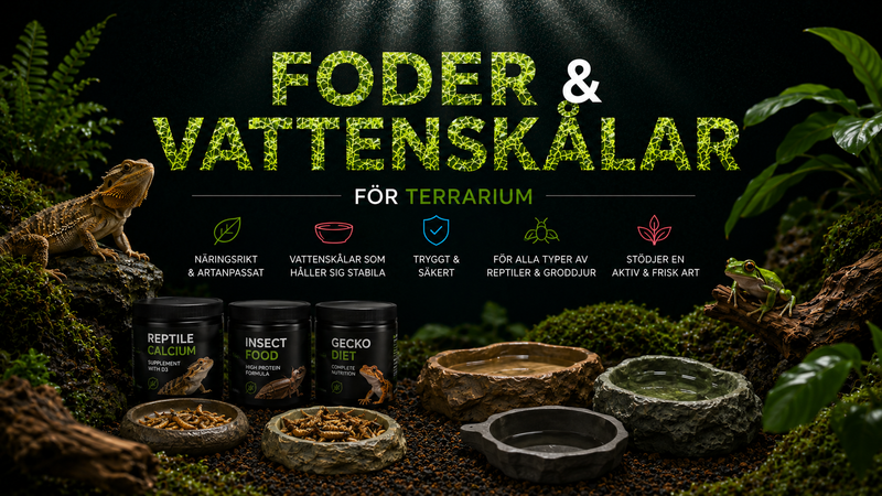 Foder- & Vattenskålar för Terrarium