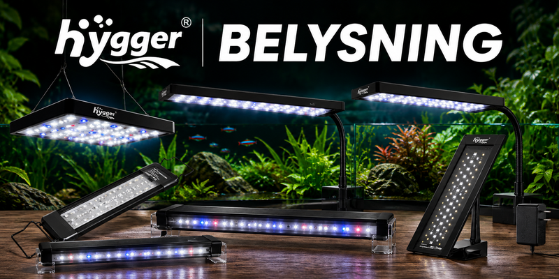 Hygger Belysning
