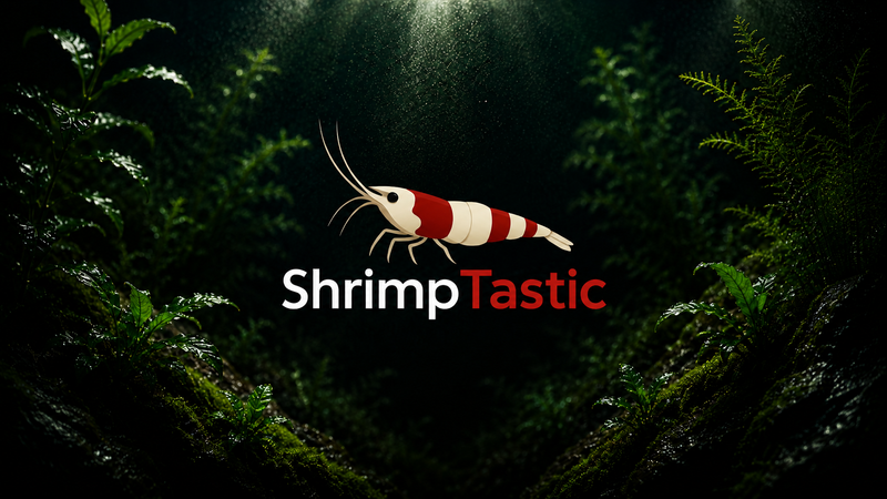 ShrimpTastic