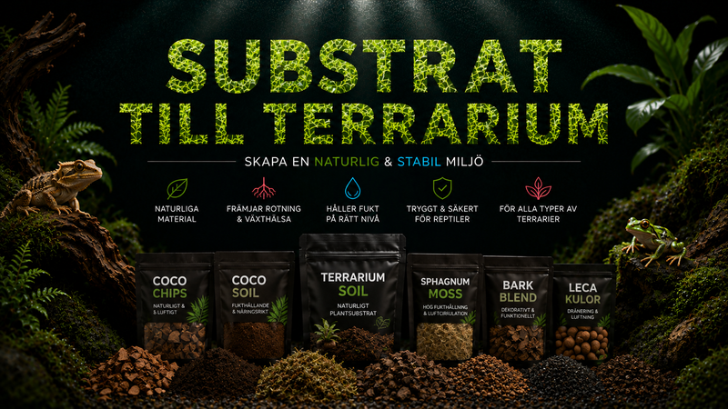 Substrat till Terrarium