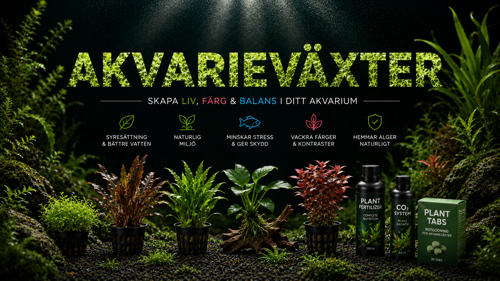 Växter
