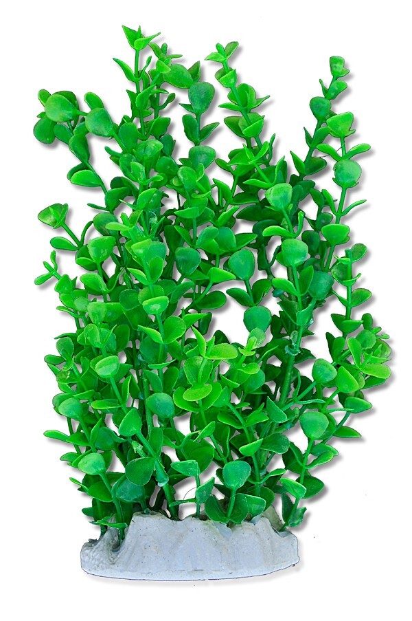 Akvarieväxt Konstgjord 20 cm – Naturtrogen Grön Akvariedekoration