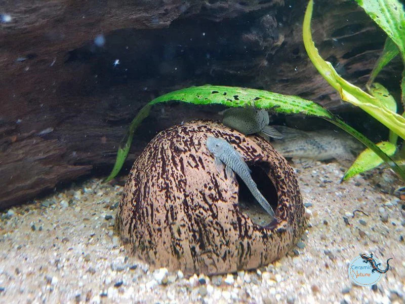 Ceramic Nature Iglu – Handgjort gömställe i keramik för akvarium & terrarium
