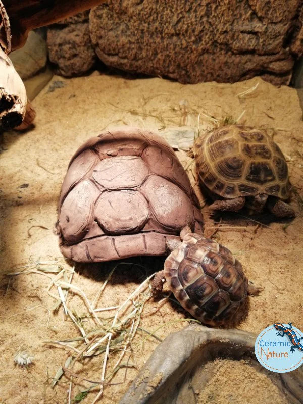 Ceramic Nature Turtle Cave – Handgjort gömställe i keramik för akvarium & terrarium