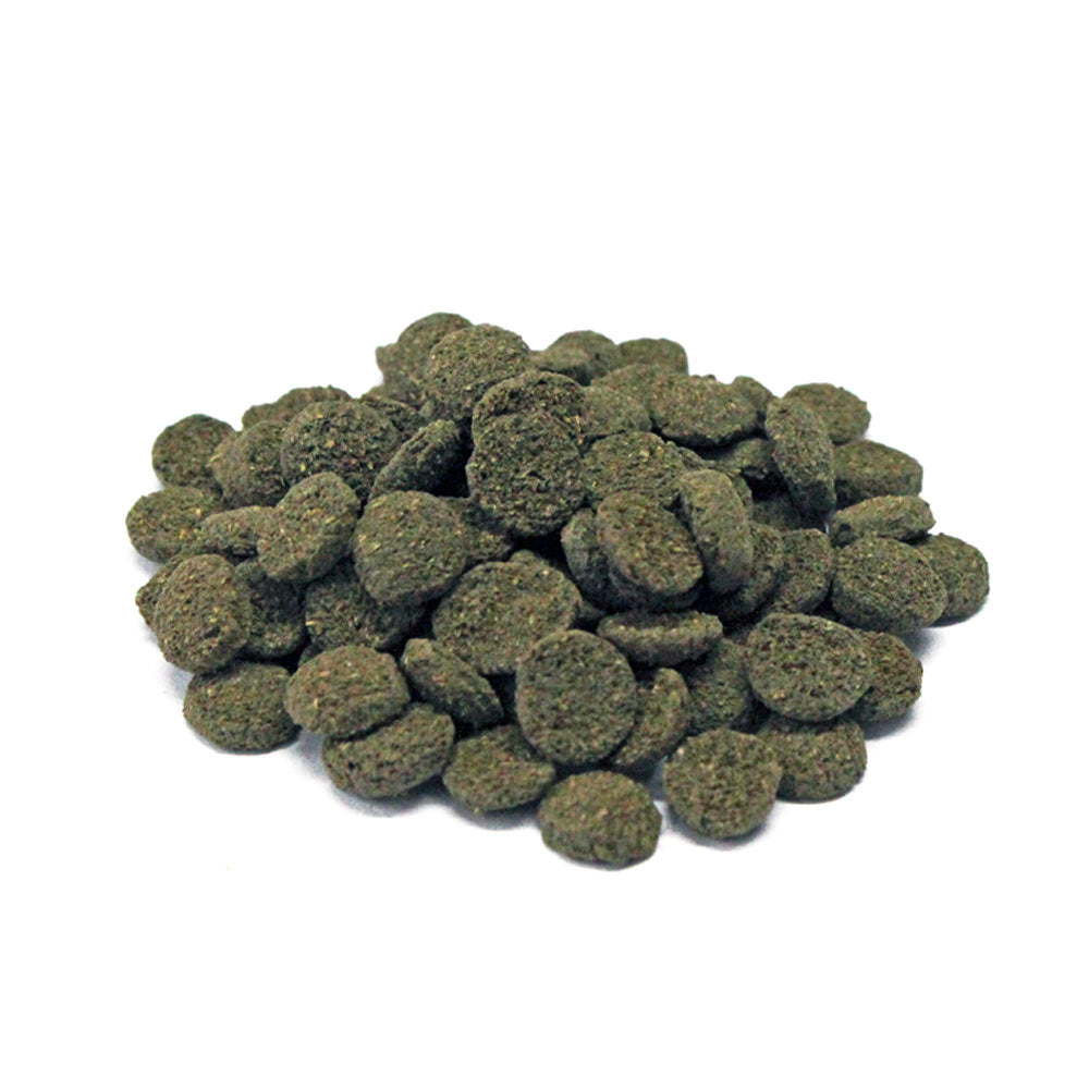 PRODAC Algae Wafers Mini – Små algwafers för bottenfiskar