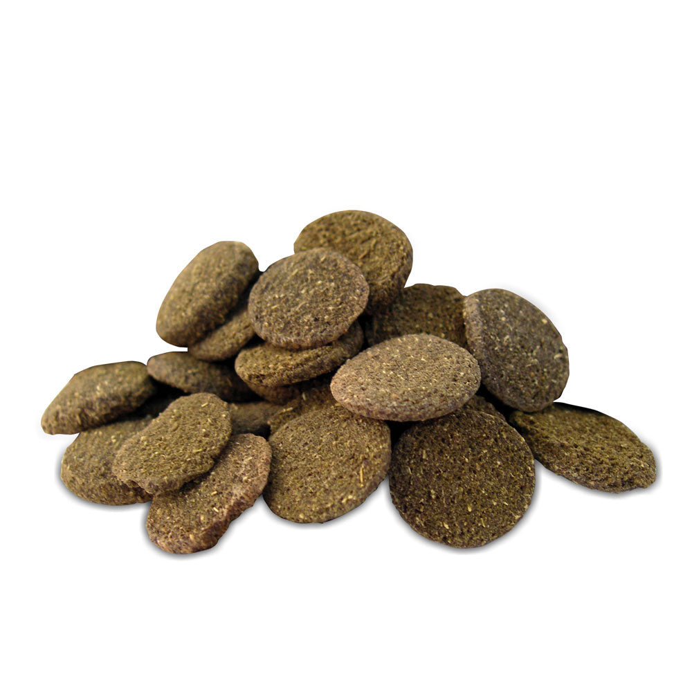 PRODAC Algae Wafers – vegetabiliskt foder för bottenlevande fiskar