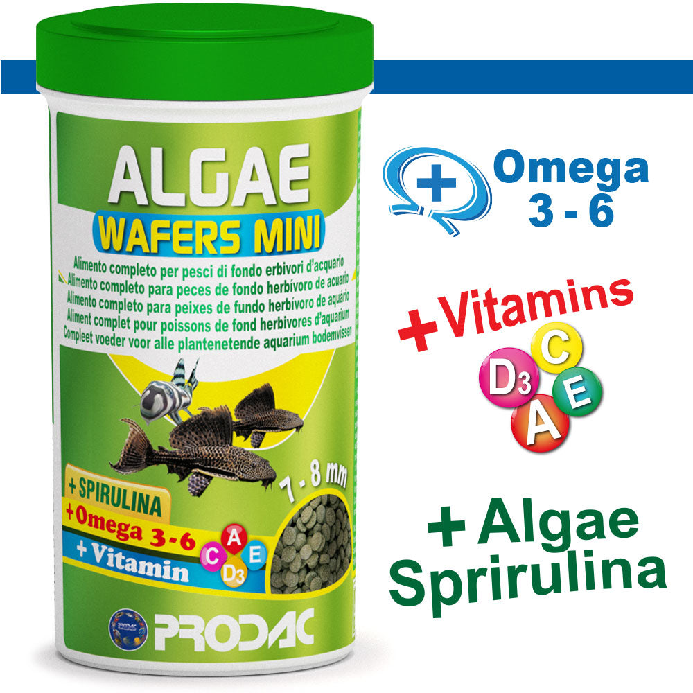 PRODAC Algae Wafers Mini – Små algwafers för bottenfiskar