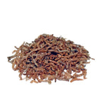 PRODAC Bloodworms Chironomus – frystorkade röda mygglarver för akvariefiskar