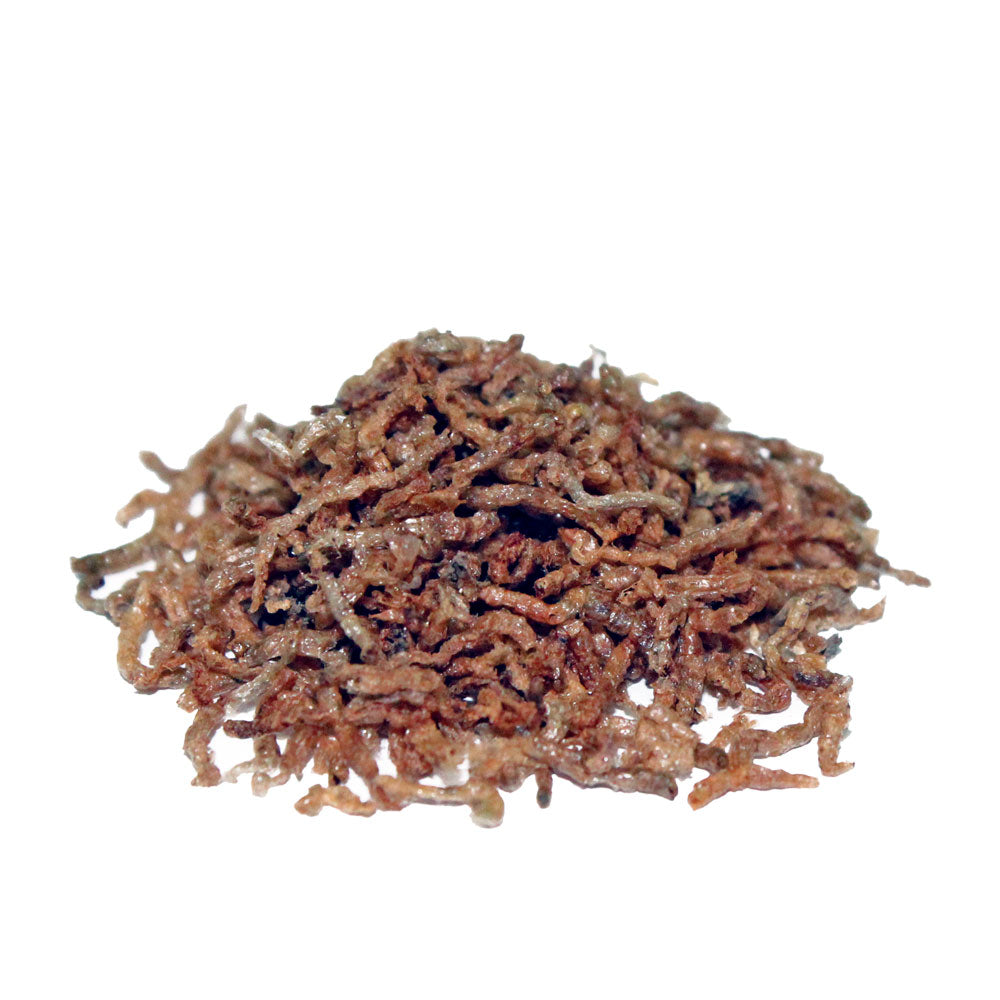 PRODAC Bloodworms Chironomus – frystorkade röda mygglarver för akvariefiskar
