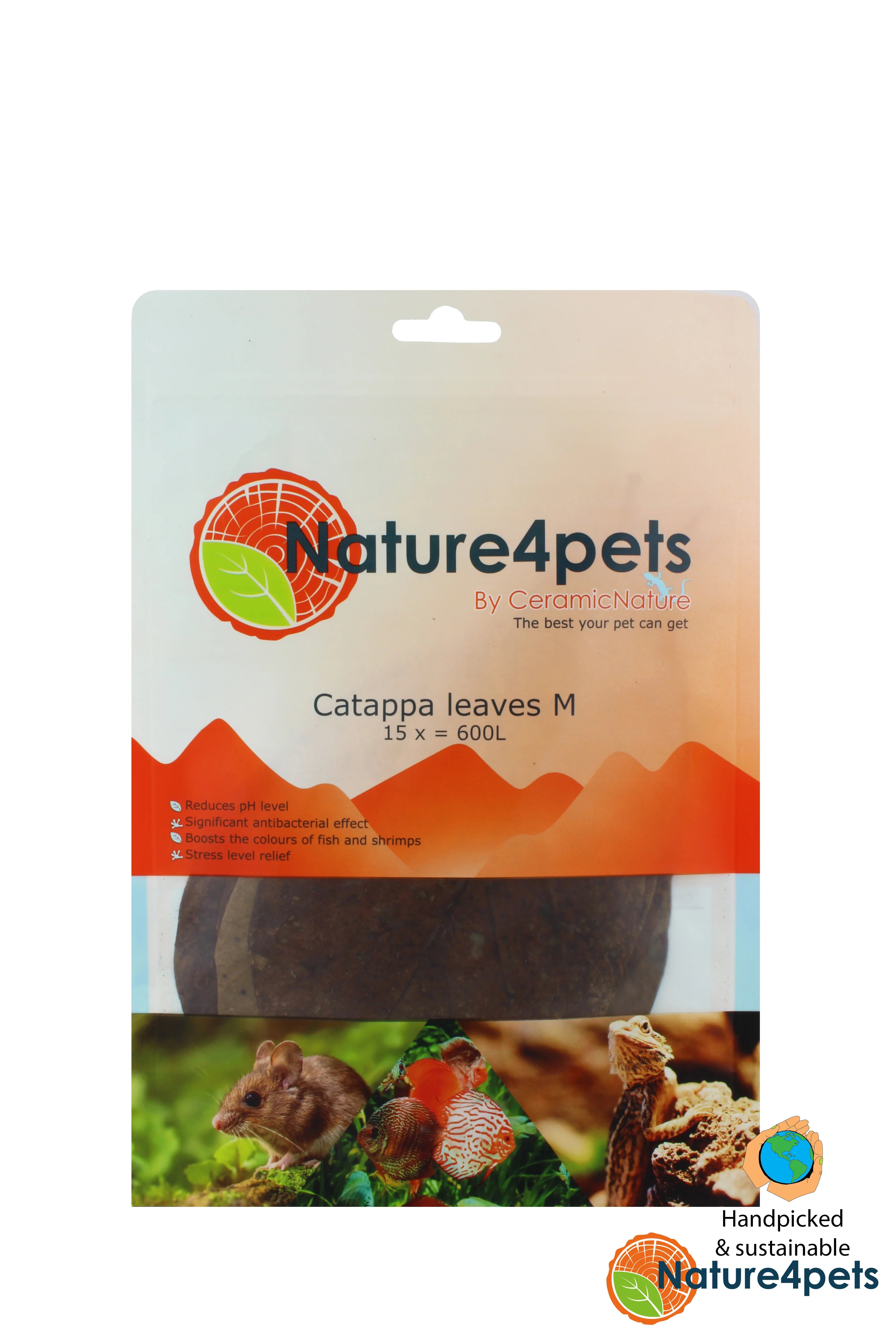 Catappa Leaves M – Indian Almond Leaves 15–20 cm, 15-pack