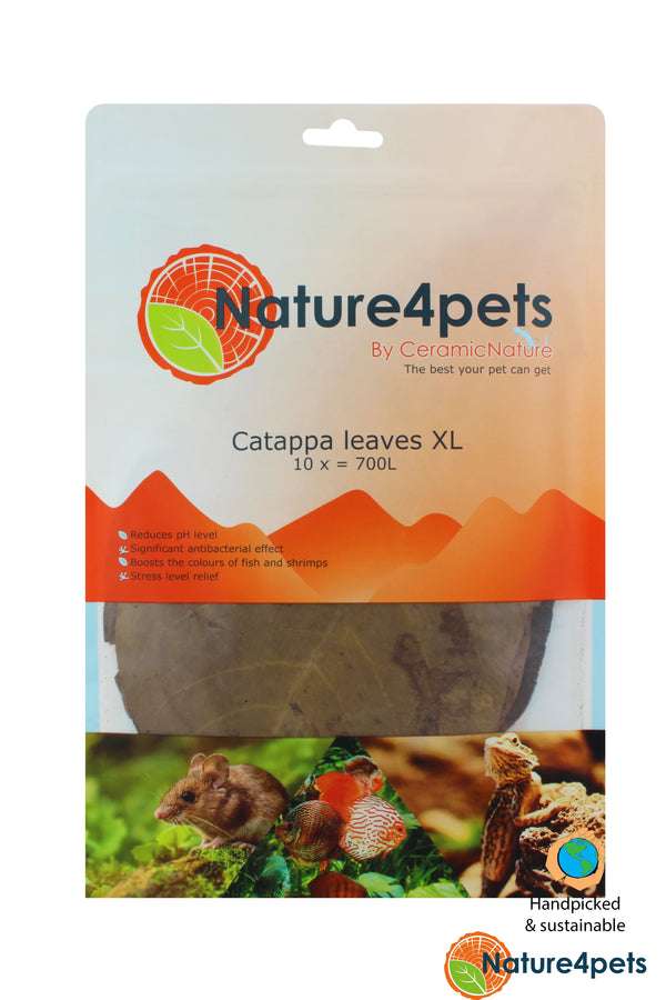 Catappa Leaves XL – Naturliga Catappa Blad 21–40 cm, 10 pack