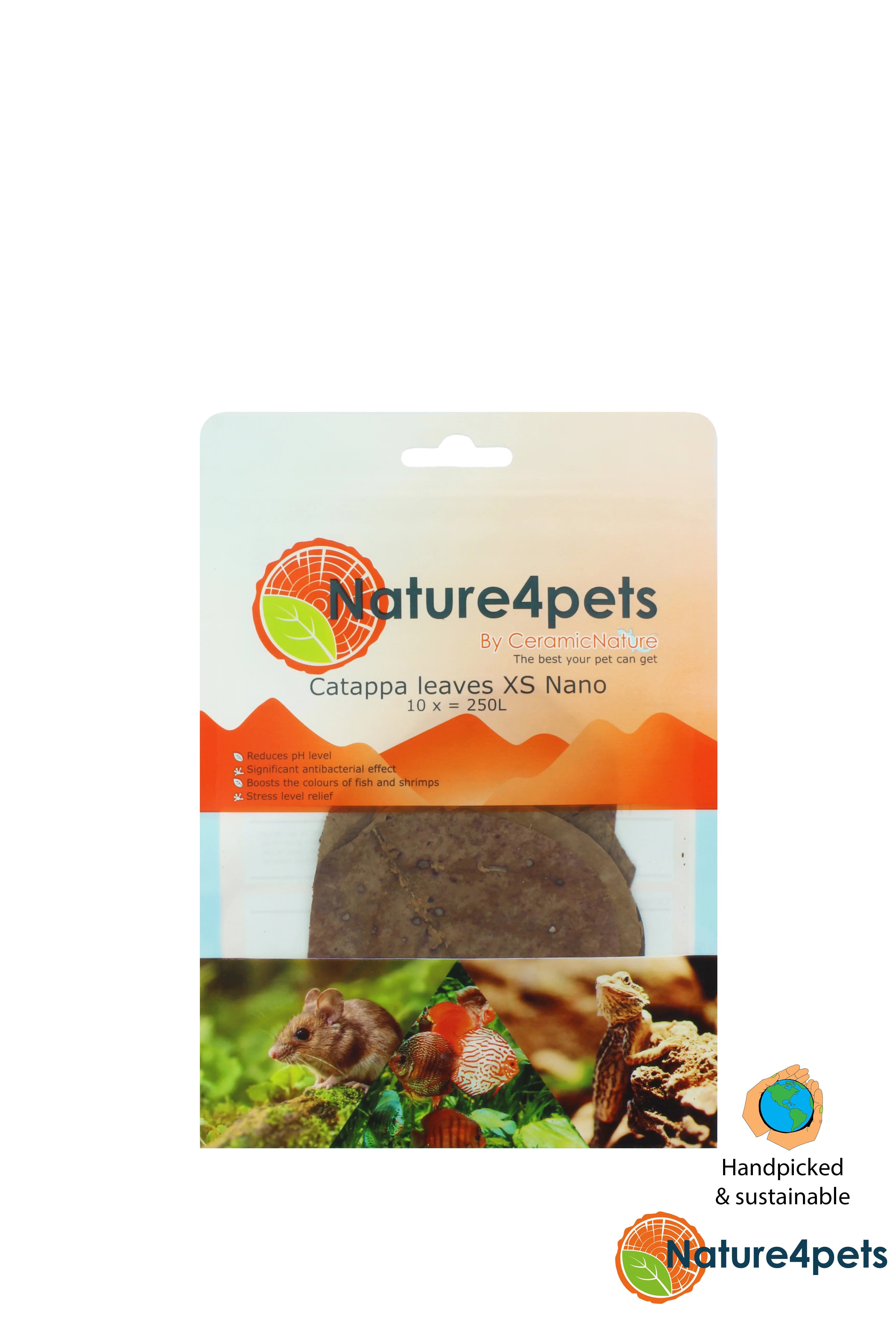 Catappa Leaves XS Nano – Indian Almond Leaves 10–11 cm, 10-pack