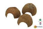 Half Coconut – Naturlig kokosnöt för akvarium & terrarium