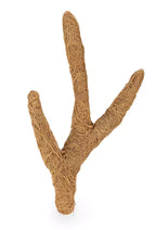 Coconut Branch – flexibel kokosgren för terrarium