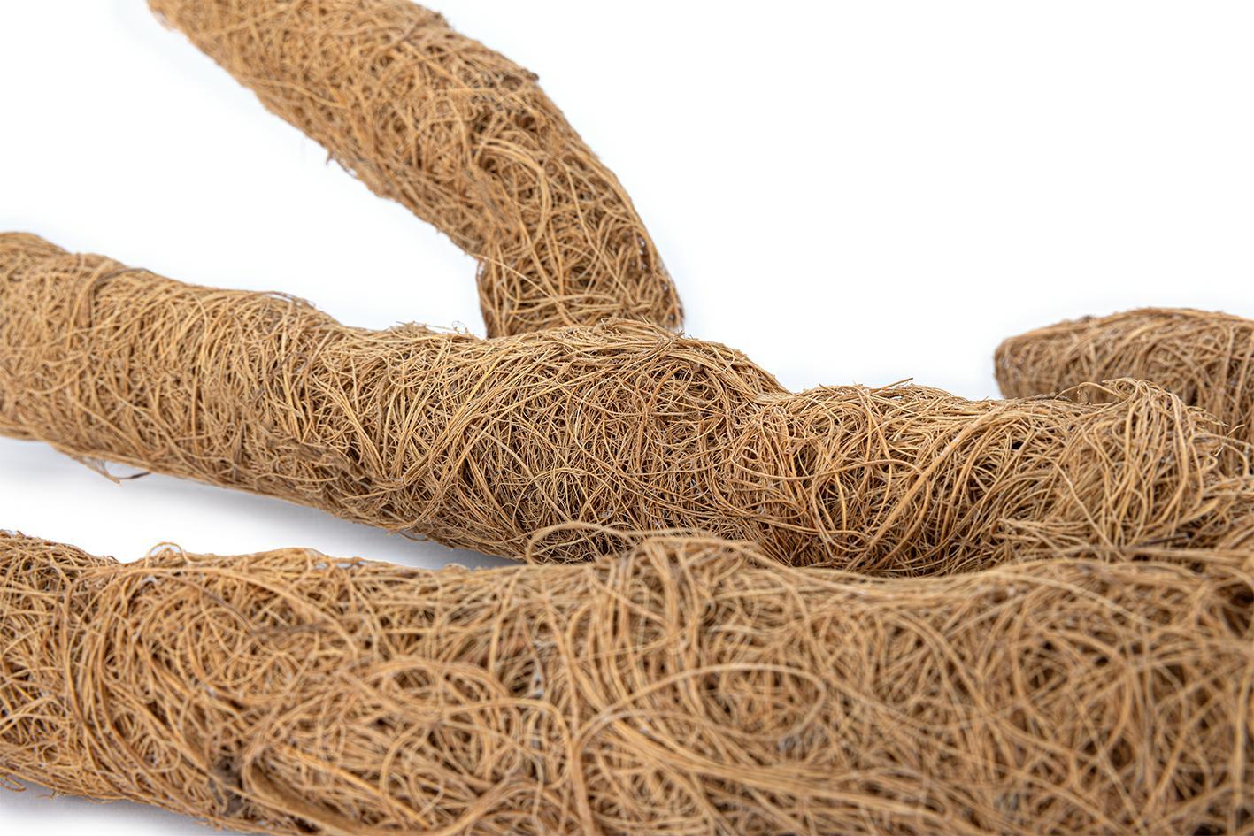 Coconut Branch 80 cm L – Flexibel klättergren av kokosfiber för terrarium