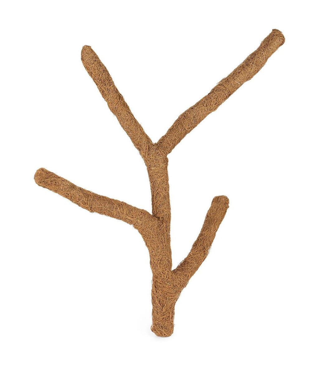 Coconut Branch 80 cm L – Flexibel klättergren av kokosfiber för terrarium