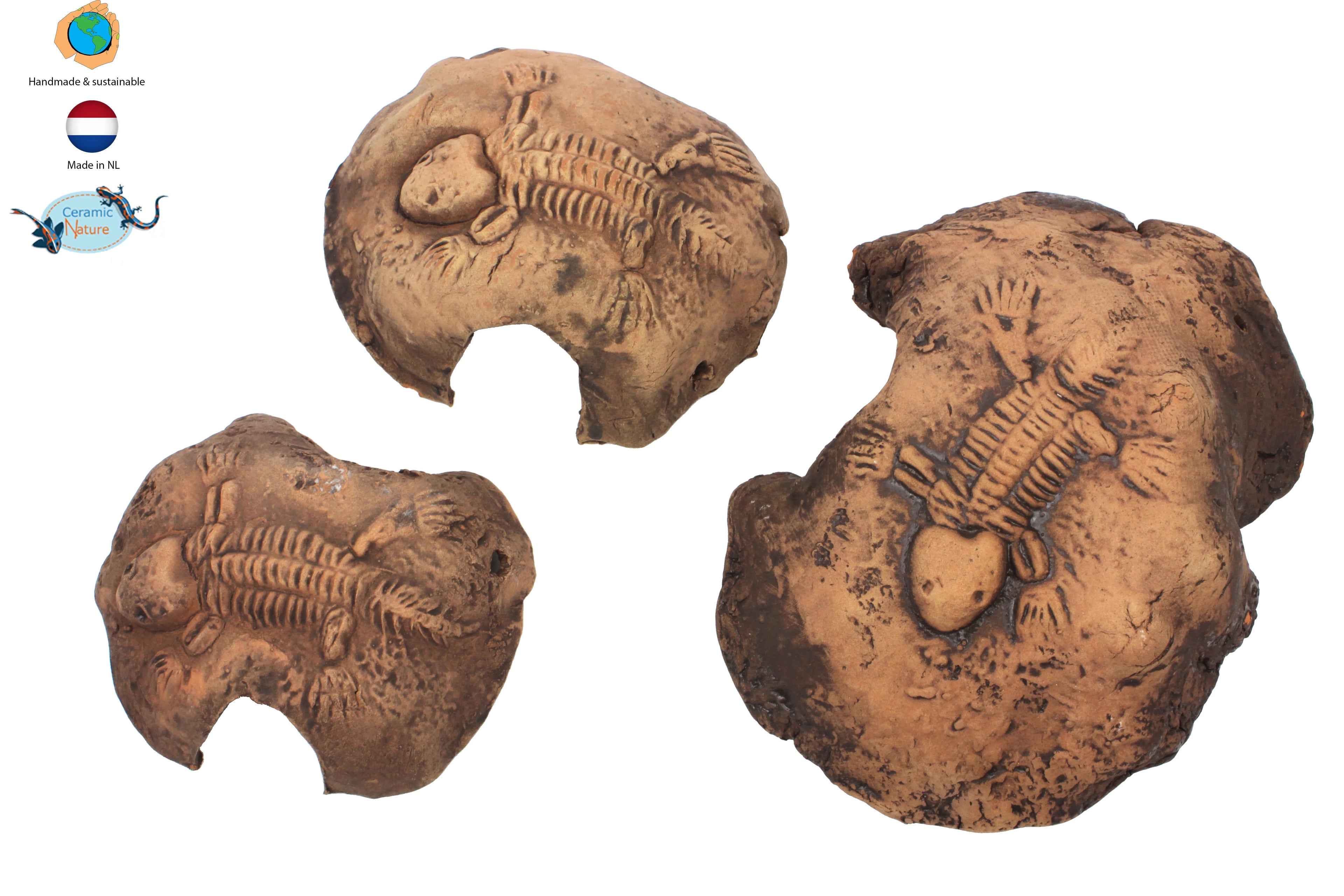 Fossil Stones Brown – Handgjorda keramiska fossilstenar för akvarium & terrarium