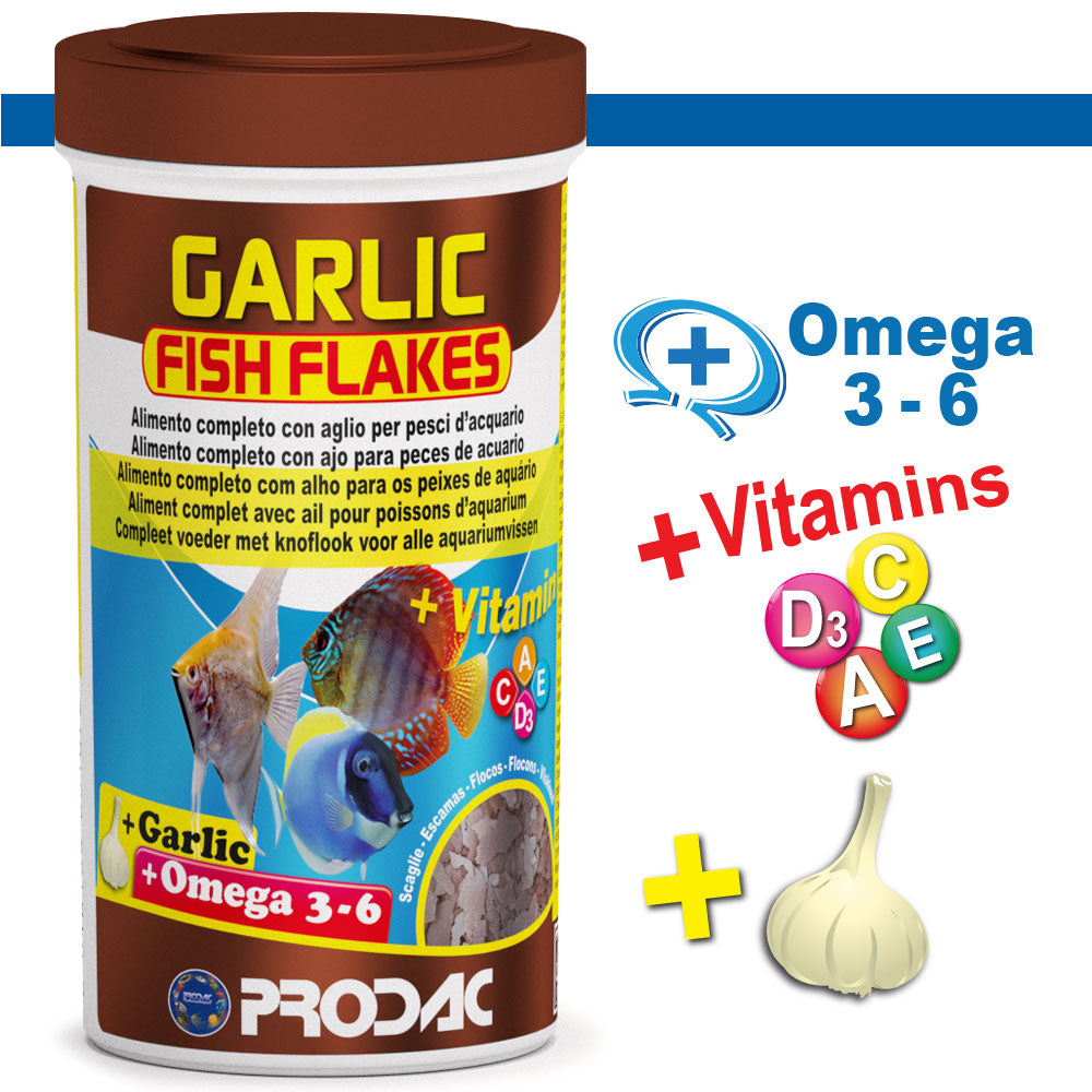 PRODAC Garlic Fish Flakes – Flingfoder med vitlök för tropiska fiskar