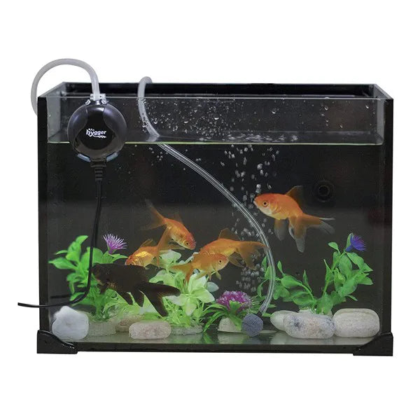 Hygger HG811 – Extremt tyst luftpump för nano/små akvarium