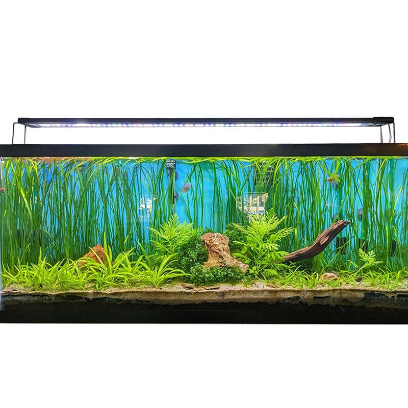 Hygger LED-belysning för akvarium