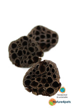 Lotus Pods 3-pack – Naturliga botanicals för akvarium