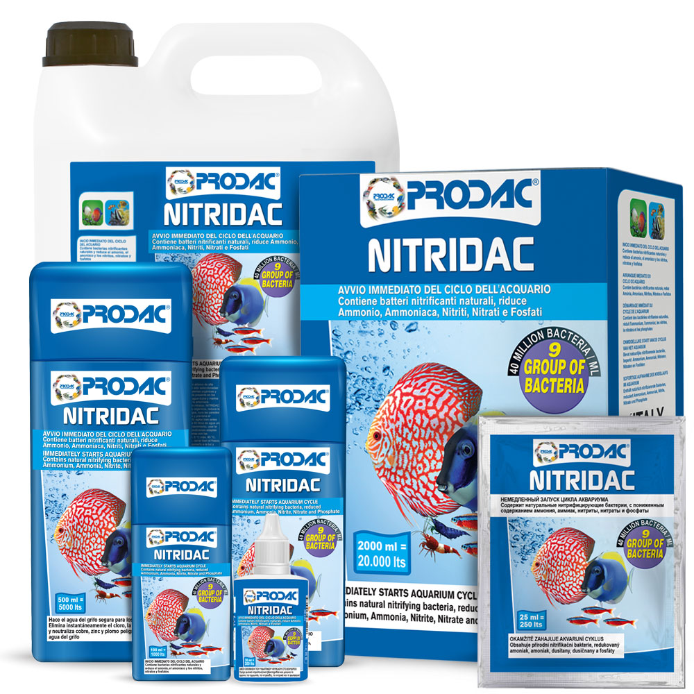 PRODAC Nitridac – startbakterier för akvarium