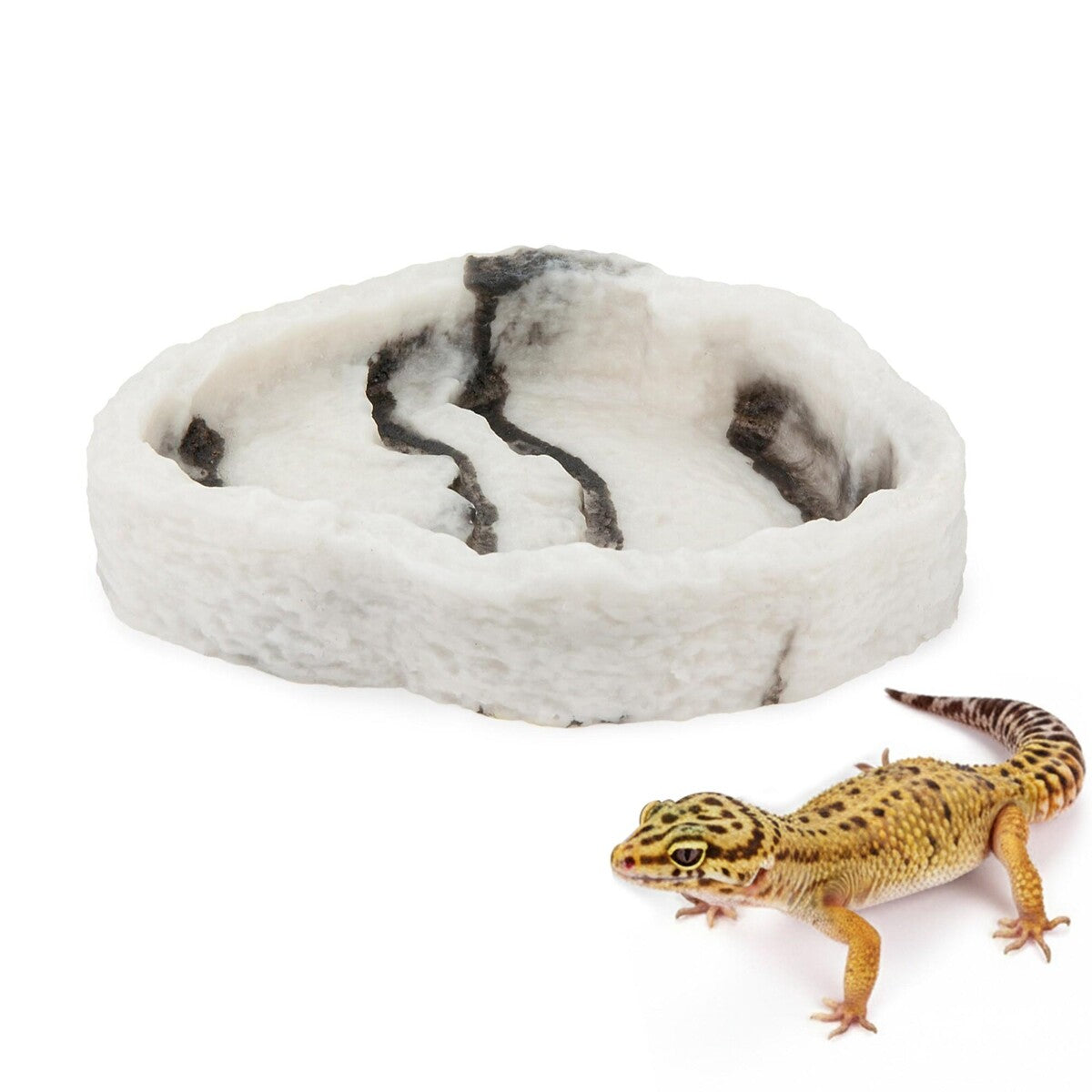 Terrarium Bowl Stone – Mat- & vattenskål för terrarium