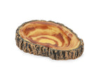 Terrarium Bowl Tree Trunk – Mat- & vattenskål för terrarium