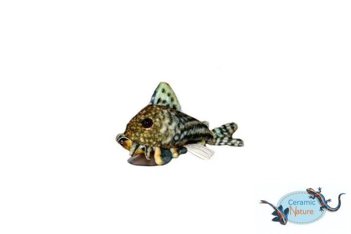 Sterbai Corydoras Gosedjur – Mjuk pansarmal i plysch