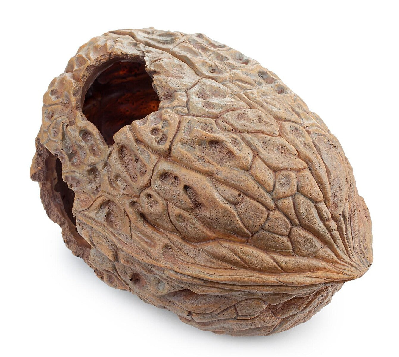 Akvariedekoration Valnöt – Naturtroget Gömställe för Akvarium & Terrarium