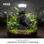 Svart Lavasten – naturlig dekoration för akvarium och terrarium