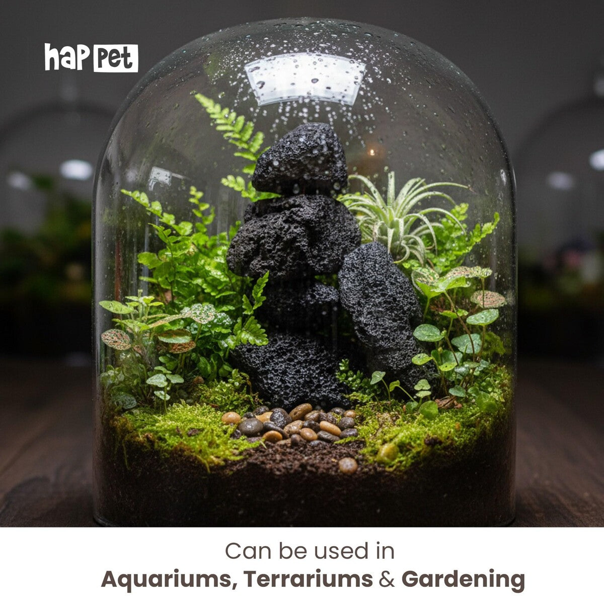 Svart Lavasten – naturlig dekoration för akvarium och terrarium
