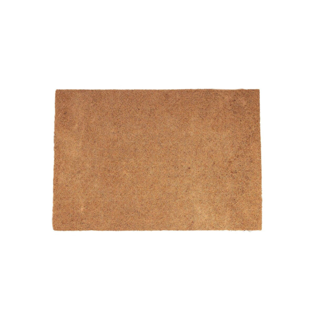 Kokosmatta 60 × 40 cm – skapa en naturlig och levande terrariebakgrund