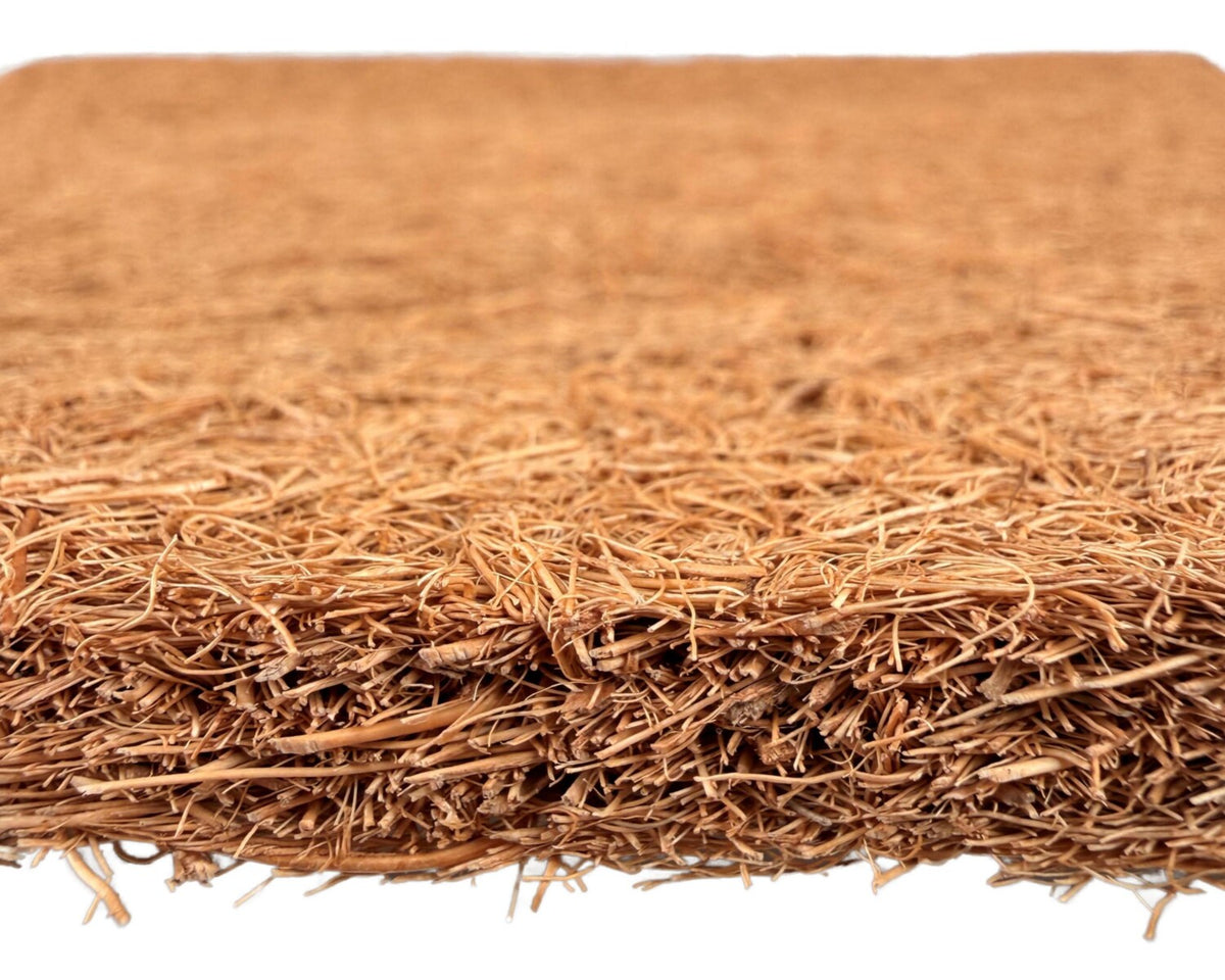 Kokosmatta 60 × 40 cm – skapa en naturlig och levande terrariebakgrund