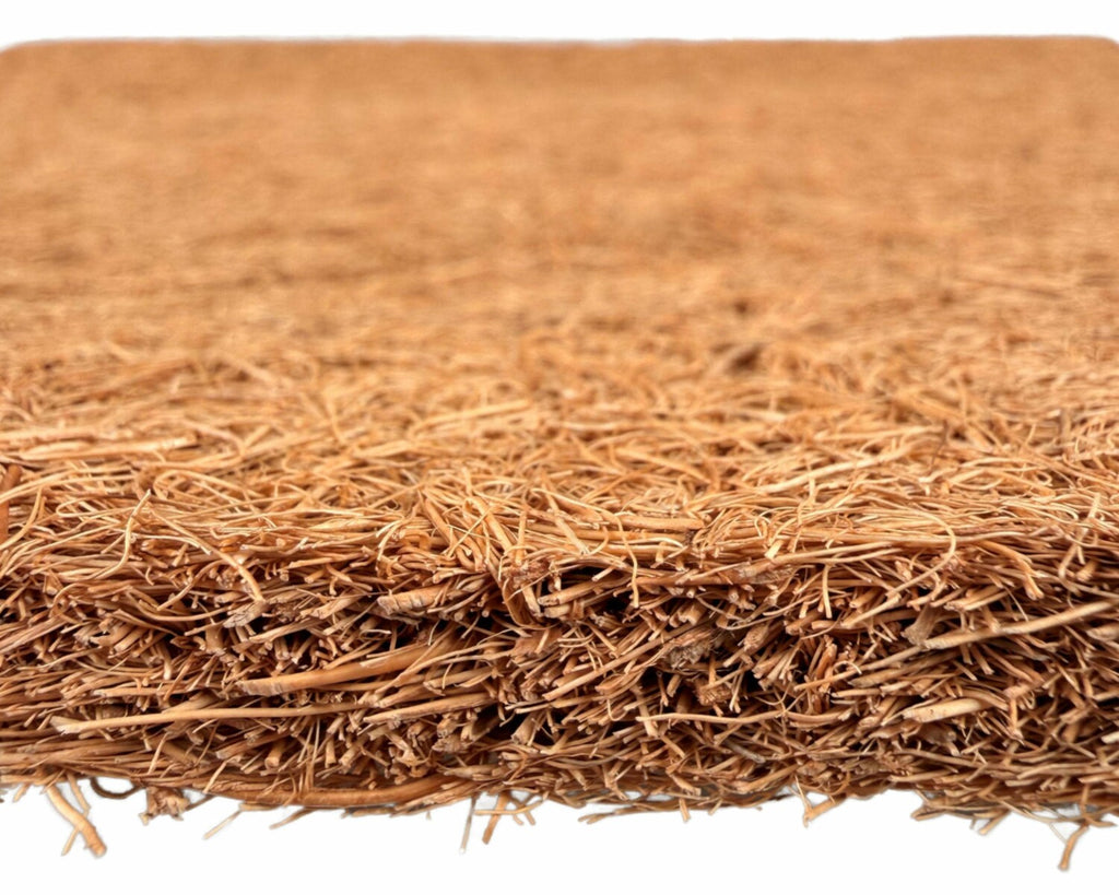 Kokosmatta 30 × 30 cm – skapa en naturlig och levande terrariebakgrund