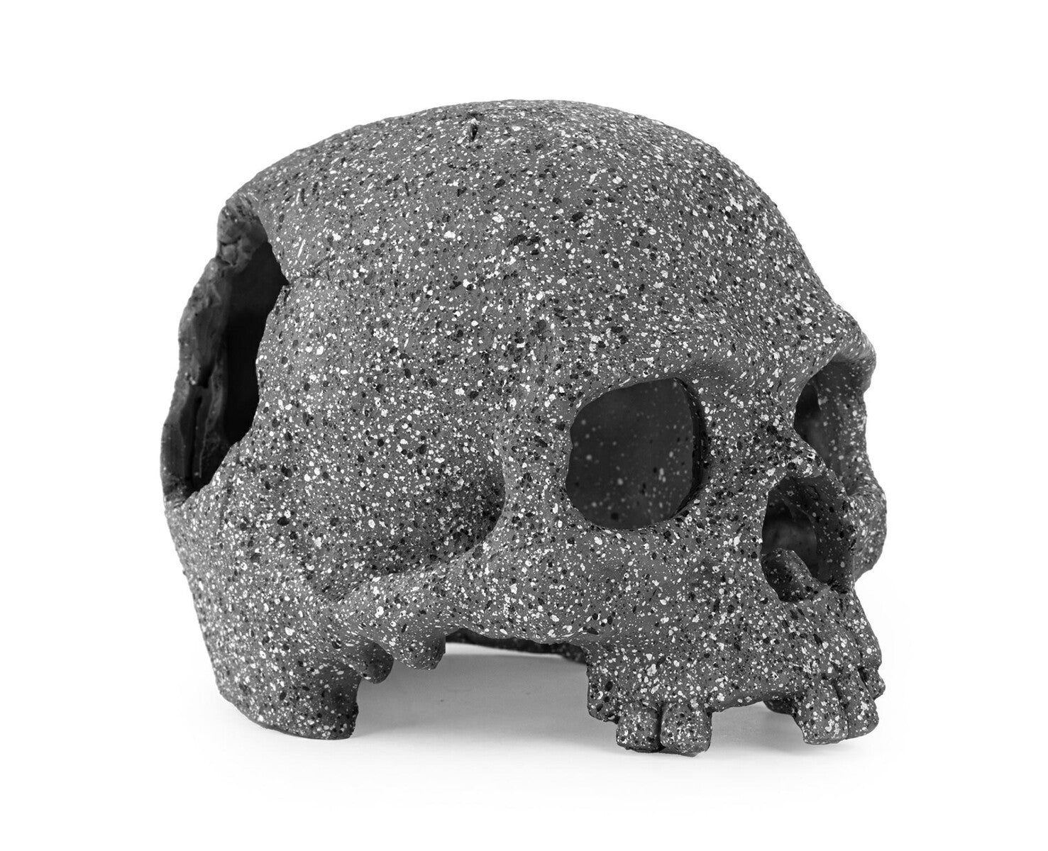 Grafitskalle 15 cm – Akvarie- och Terrariedekoration i Polyester Resin