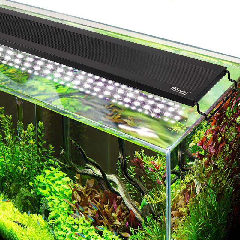 Hygger LED-belysning för akvarium