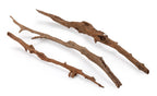 Mangrovepinnar 30–50 cm (3-pack) – Naturliga rötter för akvarium & terrarium