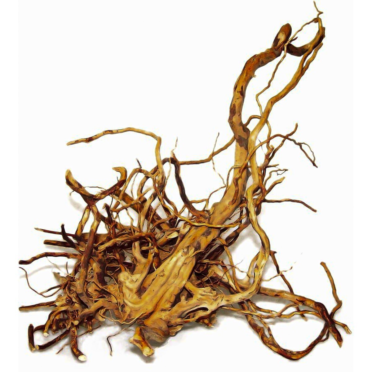 Red Moor Root – Naturlig rot för akvarium och terrarium