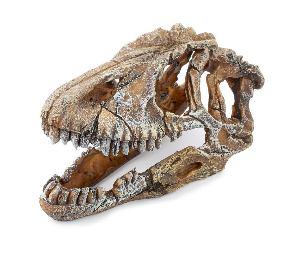 Dinosaurieskalle 17 cm – Dekoration för akvarium och terrarium