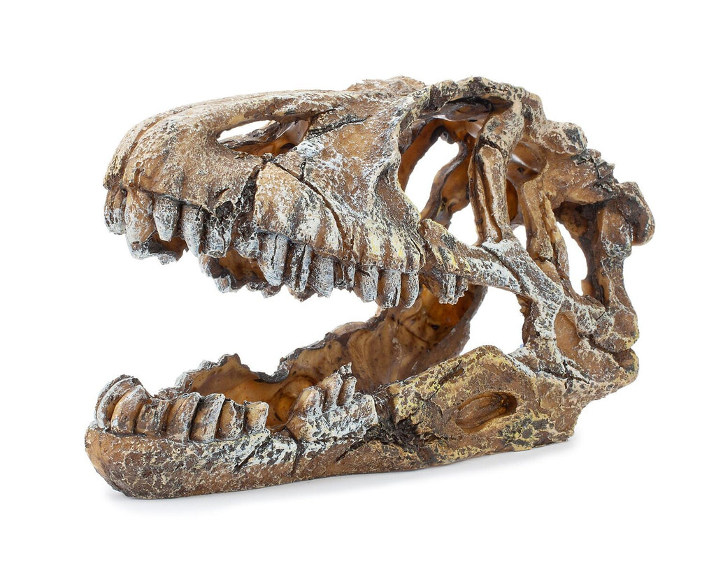 Dinosaurieskalle 17 cm – Dekoration för akvarium och terrarium